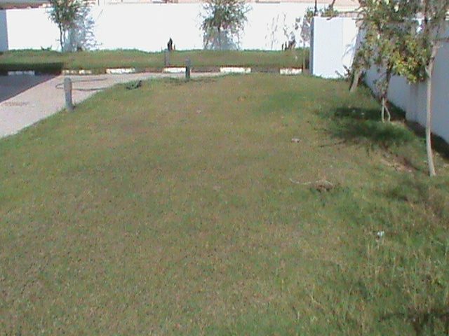 Cardiff International Kindergarten — image 4